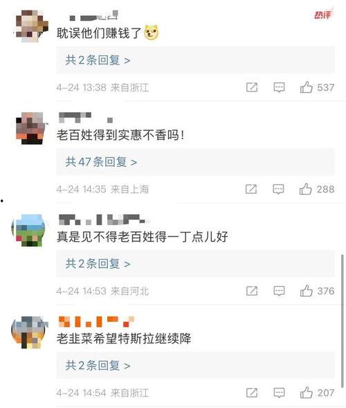 谁会买国产电车呢图片视频,揭秘谁在引领绿色出行新潮流