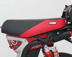 国产电动单车视频,科技驱动，绿色出行新篇章