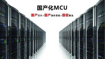 国产化硬件视频,创新驱动，共筑视界未来