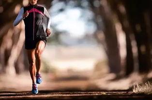 跑步大神国产的视频,揭秘跑步技巧与心得分享