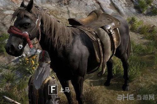 国产马匹种类介绍图解视频,探寻中华马种的瑰宝