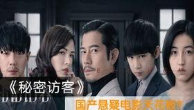 解说国产悬疑片视频,国产悬疑片的惊悚之旅