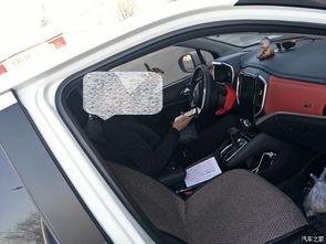 国产车扫脸开车门视频