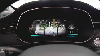 国产车扫脸开车门视频