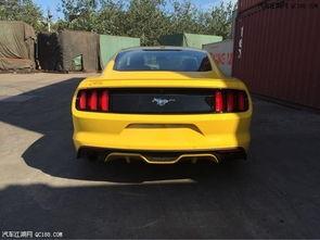 国产巨作小野马视频,国产动画的奇幻冒险之旅