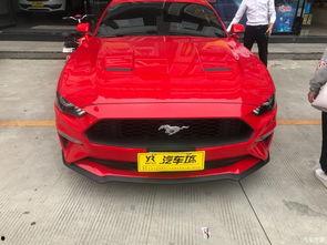 国产巨作小野马视频,国产动画的奇幻冒险之旅