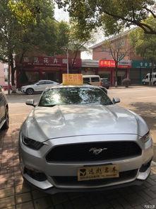 国产巨作小野马视频,国产动画的奇幻冒险之旅