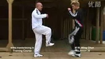 国产假拳视频大全,视频大全背后的真相与争议